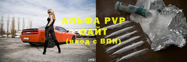 прущие грибы Аркадак