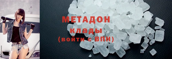 прущие грибы Аркадак