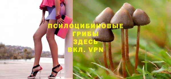 гашиш Арсеньев