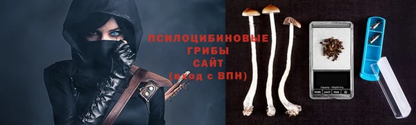 гашиш Арсеньев
