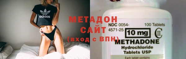 прущие грибы Аркадак