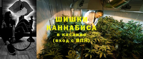 прущие грибы Аркадак