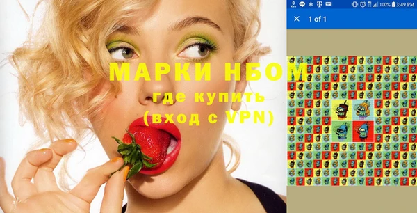 прущие грибы Аркадак