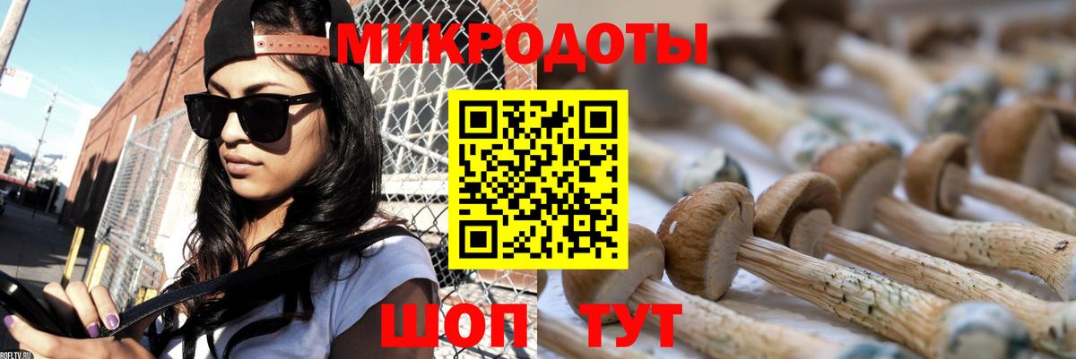 Галлюциногенные грибы Magic Shrooms  Галлюциногенные грибы GOLDEN TEACHER  Каспийск  цены   Вход с VPN 